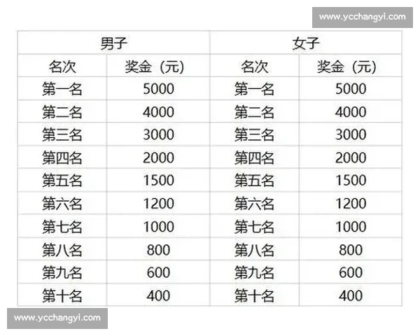 《2026年度各类比赛奖金发放标准与奖励分配方案详细解读》